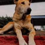 Программы лояльности казино без депозита для новичков